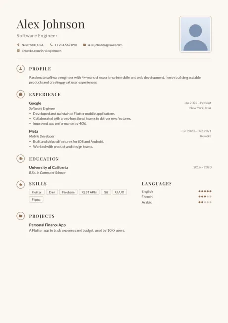 Elegant CV template preview